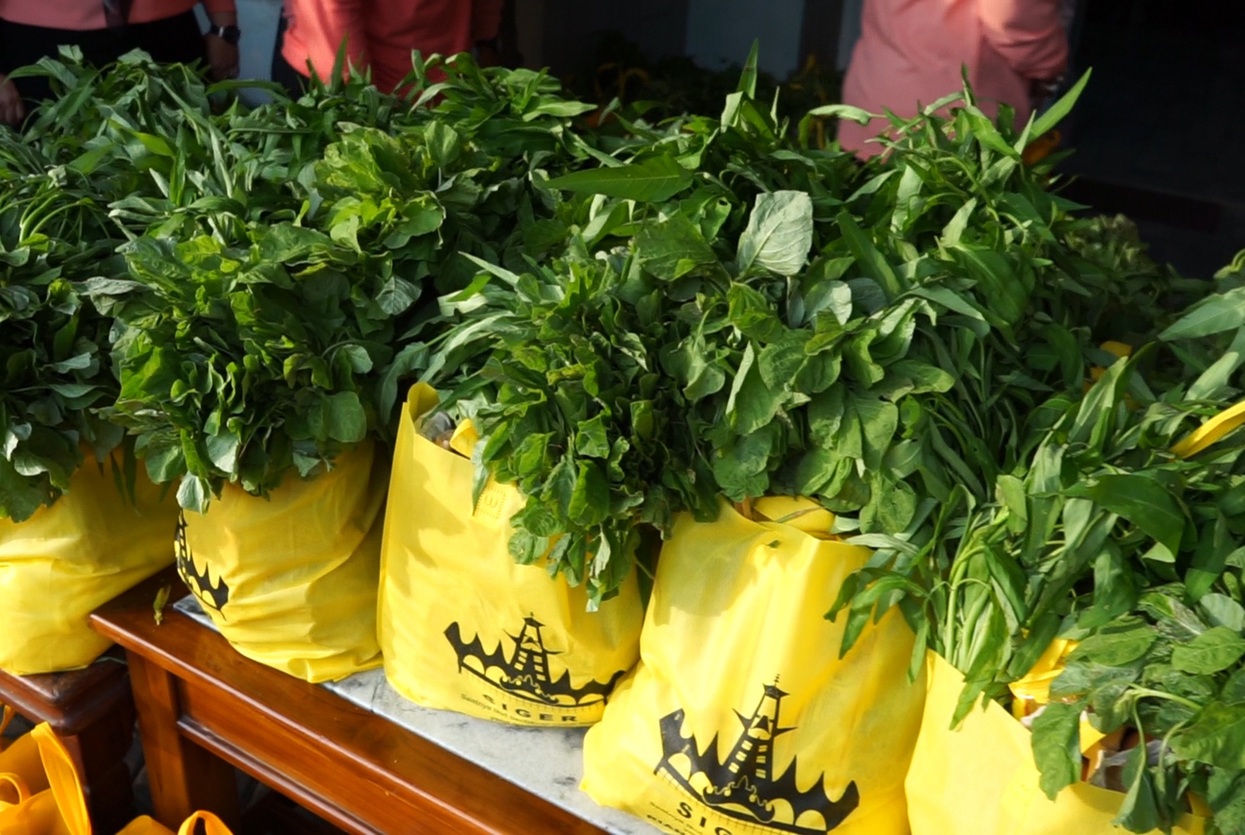 Ibu Riana Sari Arinal Salurkan Bantuan Sembako Program Gerakan Siger kepada Masyarakat Telukbetung Utara Bandarlampung