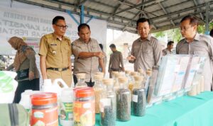 Pemkab Lampung Selatan dan BSIP Gelar Pelatihan Penguatan Kapasitas Penerap Standar Pertanian di NBR