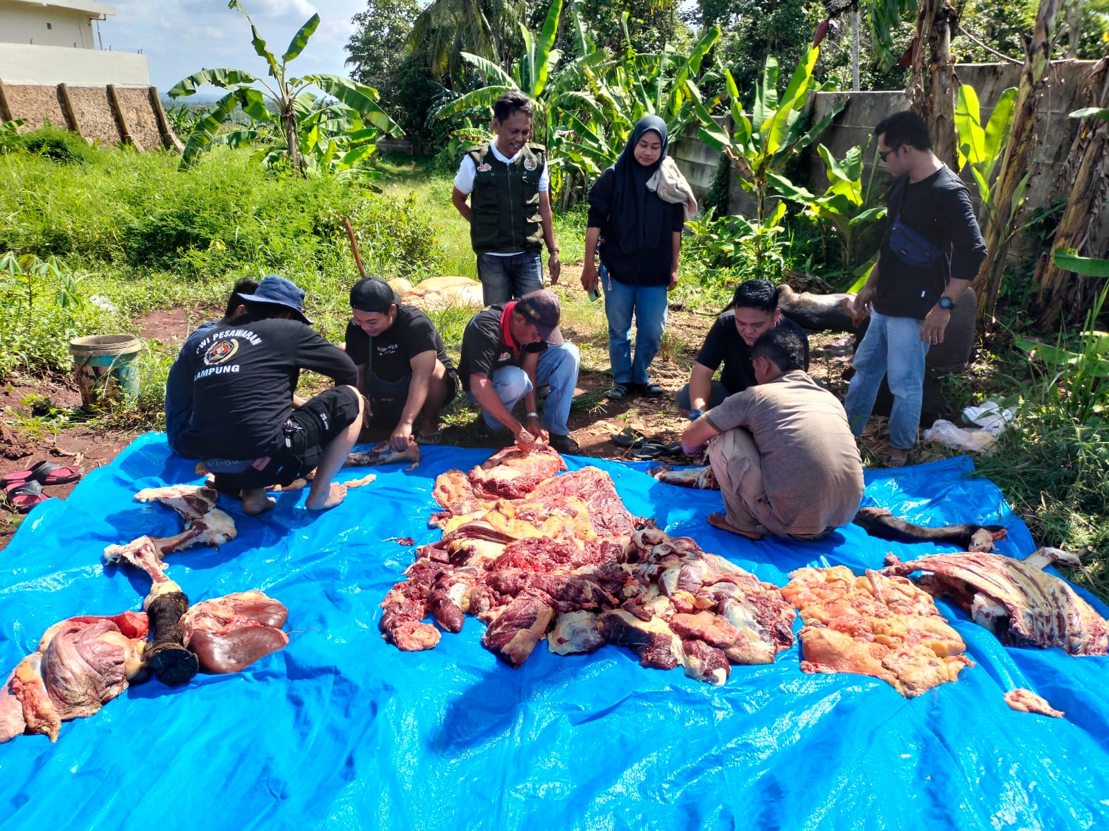  Sembelih Sapi, Koperasi PWI Pesawaran Bagikan Anggota Daging dan Parcel