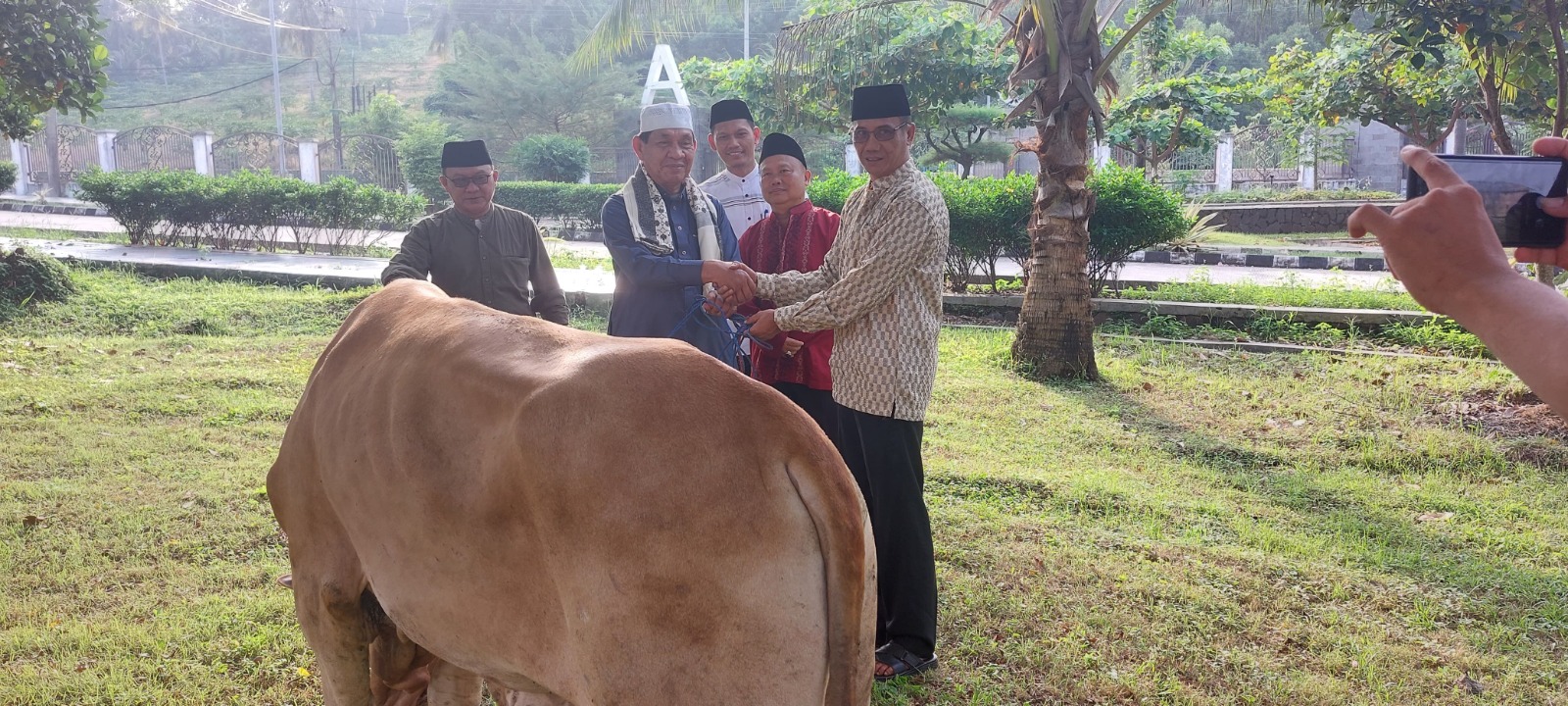 Tahun Ini Pemkab Lamsel Kurban 39 Ekor Sapi, Dipotong di PT Juang Jaya Abadi Alam