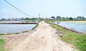 Hore, Jalan Desa Sumbernadi, Berundung, dan Bandar Agung Akan Dibangun, Nanang: Bulan Depan Dikerjakan