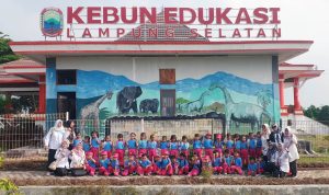 Keseruan Murid TK Negeri Pembina Kalianda Belajar dan Bermain di Perpustakaan Kebun Edukasi