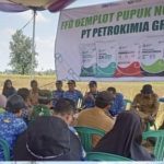 Petani Sukadadi Pesawaran Mulai Beralih Ke Tanam Bawang