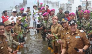 Jelang HUT ke-79 Th Korps Marinir: Brigif 4 Mar/BS Bersama MNC Peduli dan Golden Tulip Tanam Ribuan Mangrove