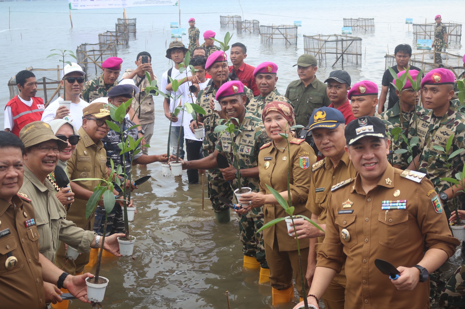 Jelang HUT ke-79 Th Korps Marinir: Brigif 4 Mar/BS Bersama MNC Peduli dan Golden Tulip Tanam Ribuan Mangrove