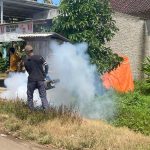 Respon Penyebaran Kasus DBD, Puskesmas Kalirejo Pesawaran Gelar Serangkaian Upaya Mitigasi