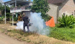 Respon Penyebaran Kasus DBD, Puskesmas Kalirejo Pesawaran Gelar Serangkaian Upaya Mitigasi