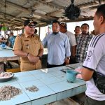 Wakil Bupati Lampung Selatan Pantau Ketersediaan dan Harga Bahan Pokok Menjelang Ramadan