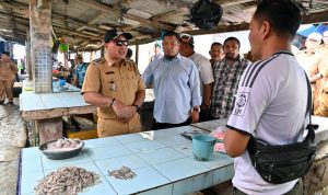 Wakil Bupati Lampung Selatan Pantau Ketersediaan dan Harga Bahan Pokok Menjelang Ramadan