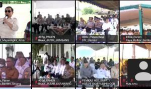 Pemkab Lampung Selatan Ikuti Panen Raya Serentak di 14 Provinsi Bersama Presiden Prabowo