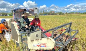 Bupati Pesawaran Fokus Mendukung Produktifitas Petani