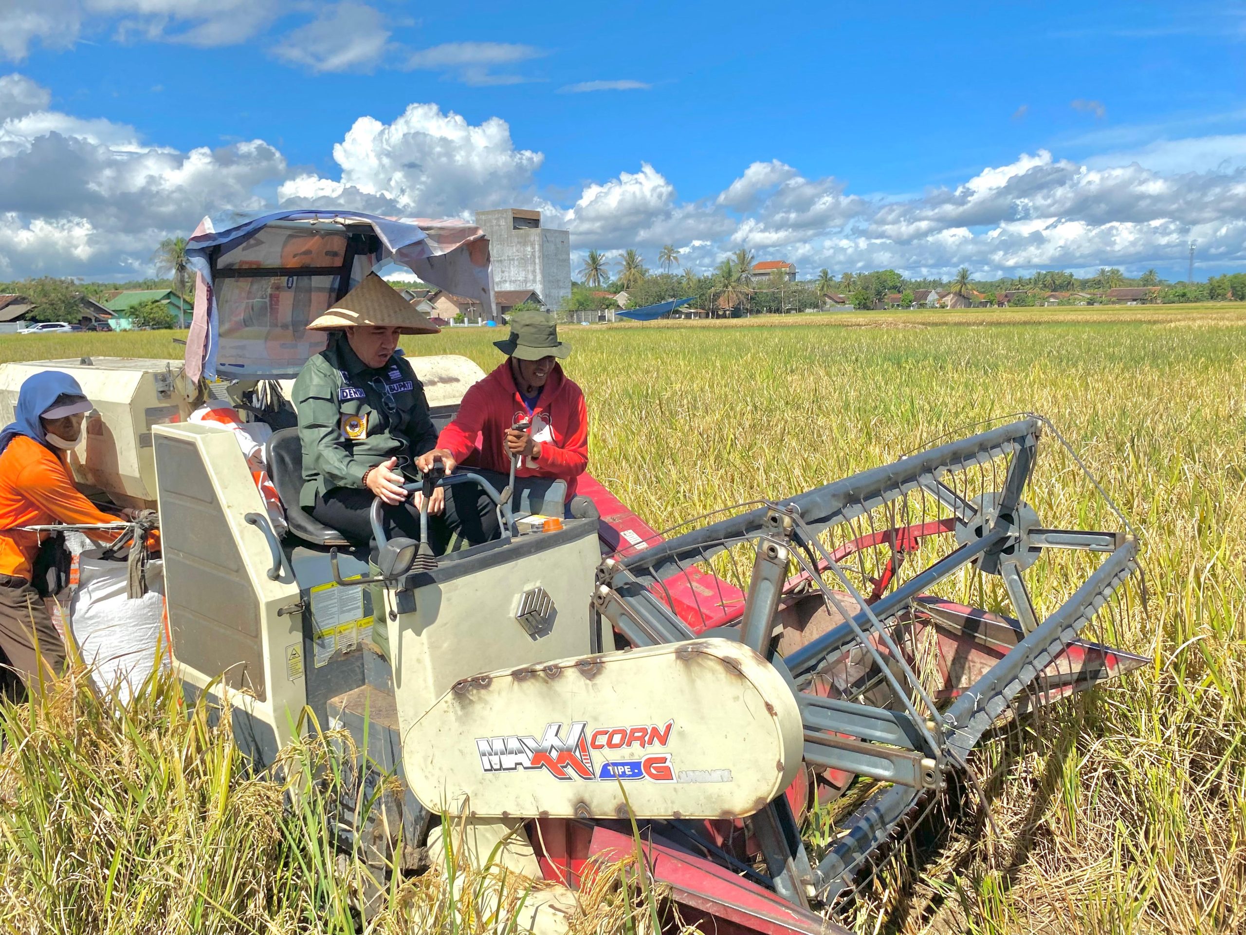 Bupati Pesawaran Fokus Mendukung Produktifitas Petani