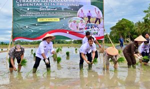 Bupati Egi Ikut Tanam Padi Serentak di 14 Provinsi Secara Daring Bersama Presiden Prabowo