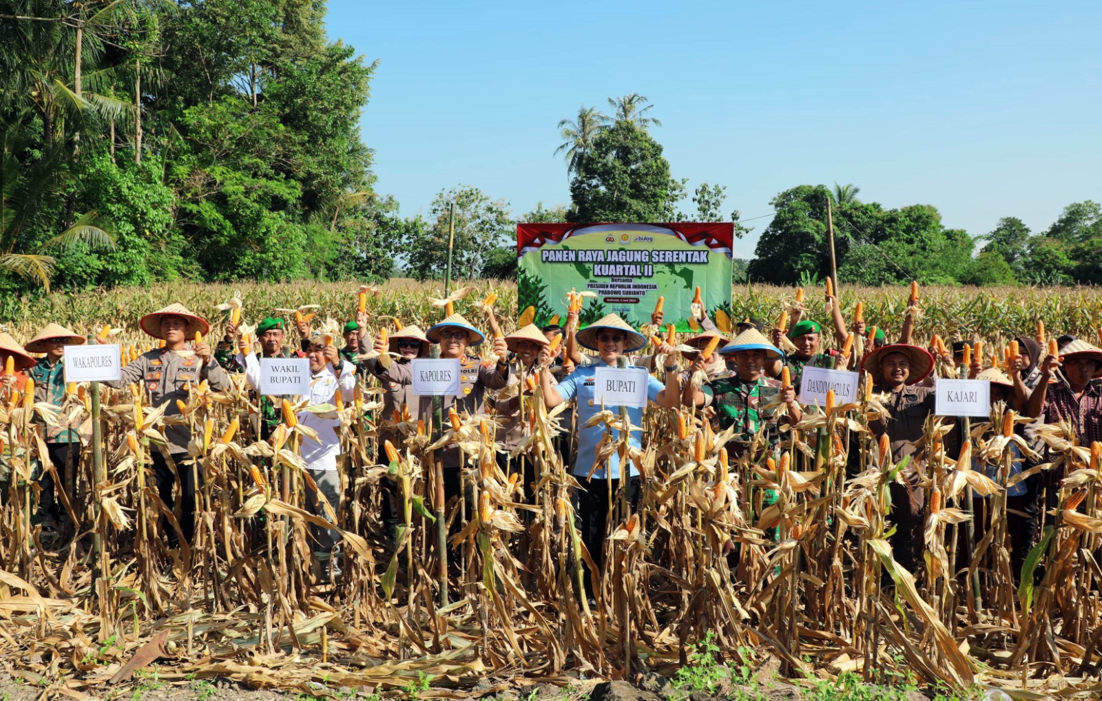 Gelar Panen Raya, Pemkab Lampung Selatan Dukung Swasembada Jagung Nasional