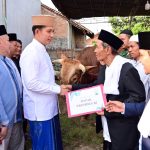 Dari Istana untuk Rakyat, Bupati Egi Salurkan Bantuan Sapi Kurban Presiden