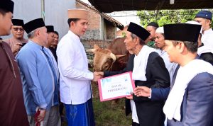 Dari Istana untuk Rakyat, Bupati Egi Salurkan Bantuan Sapi Kurban Presiden