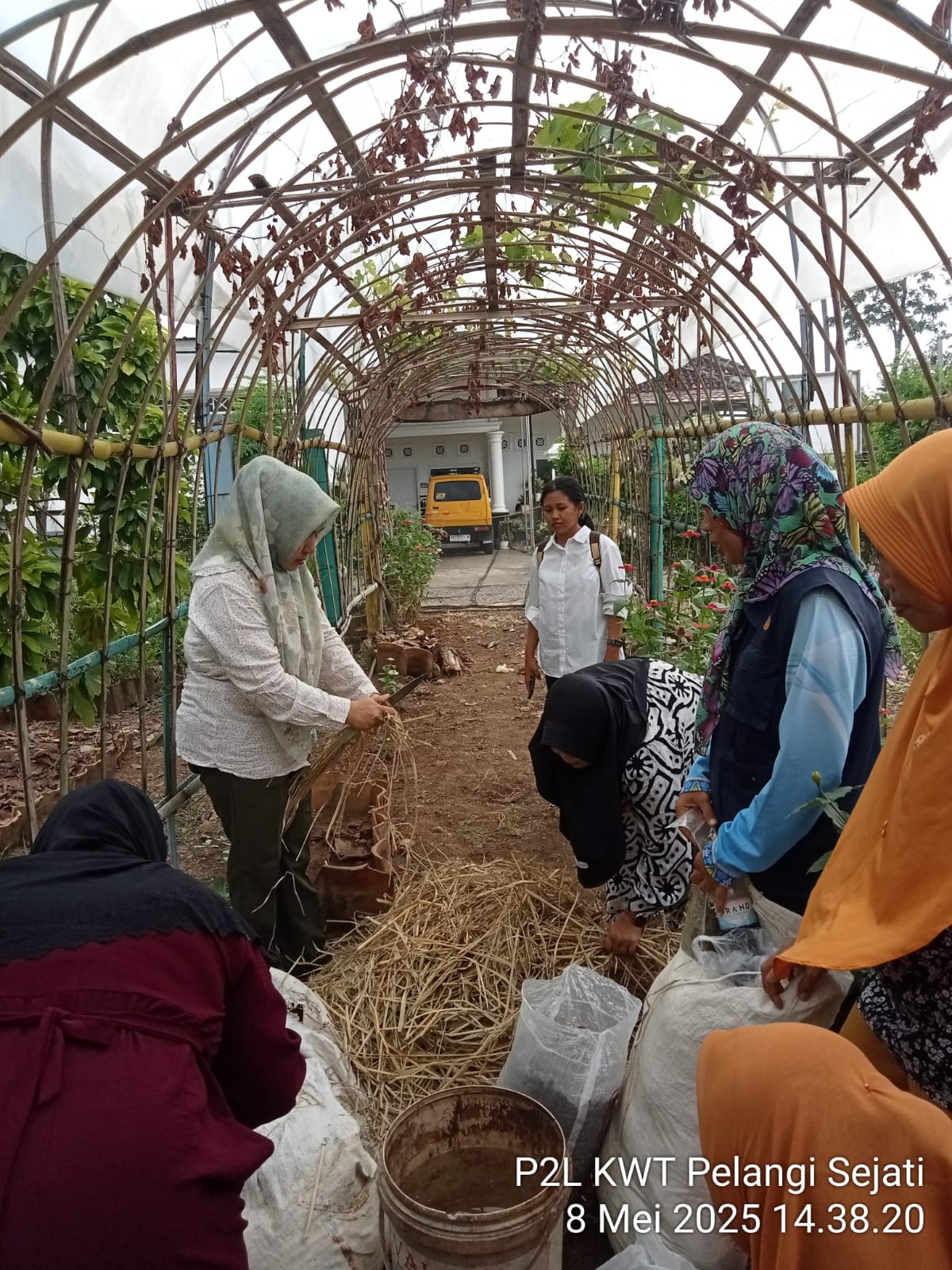 Pupuk Organik Tri kompos KWT Pelangi Sejati Sukaraja, Perlu Suntikan Dana Dan Pemasaran