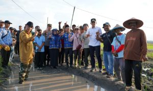 Bupati Egi Turun ke Sawah! Janji Tuntaskan Jalan Tani yang Terbengkalai Puluhan Tahun