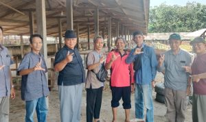 Pengurus Koperasi Merah Putih Desa Sukaraja Gedong Tataan Pesawaran Kunker Ke Desa Wonodadi Tanjung Sari Lamsel 