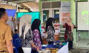 Purwopedia Wakili Pesawaran dalam Lomba Perpustakaan Desa Tingkat Provinsi Lampung 2025