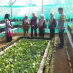 Dukung Program Ketahanan Pangan, Bhabinkamtibmas Polsek Gedong Tataan Kawal Penilaian Lomba KWT di Sungai Langka