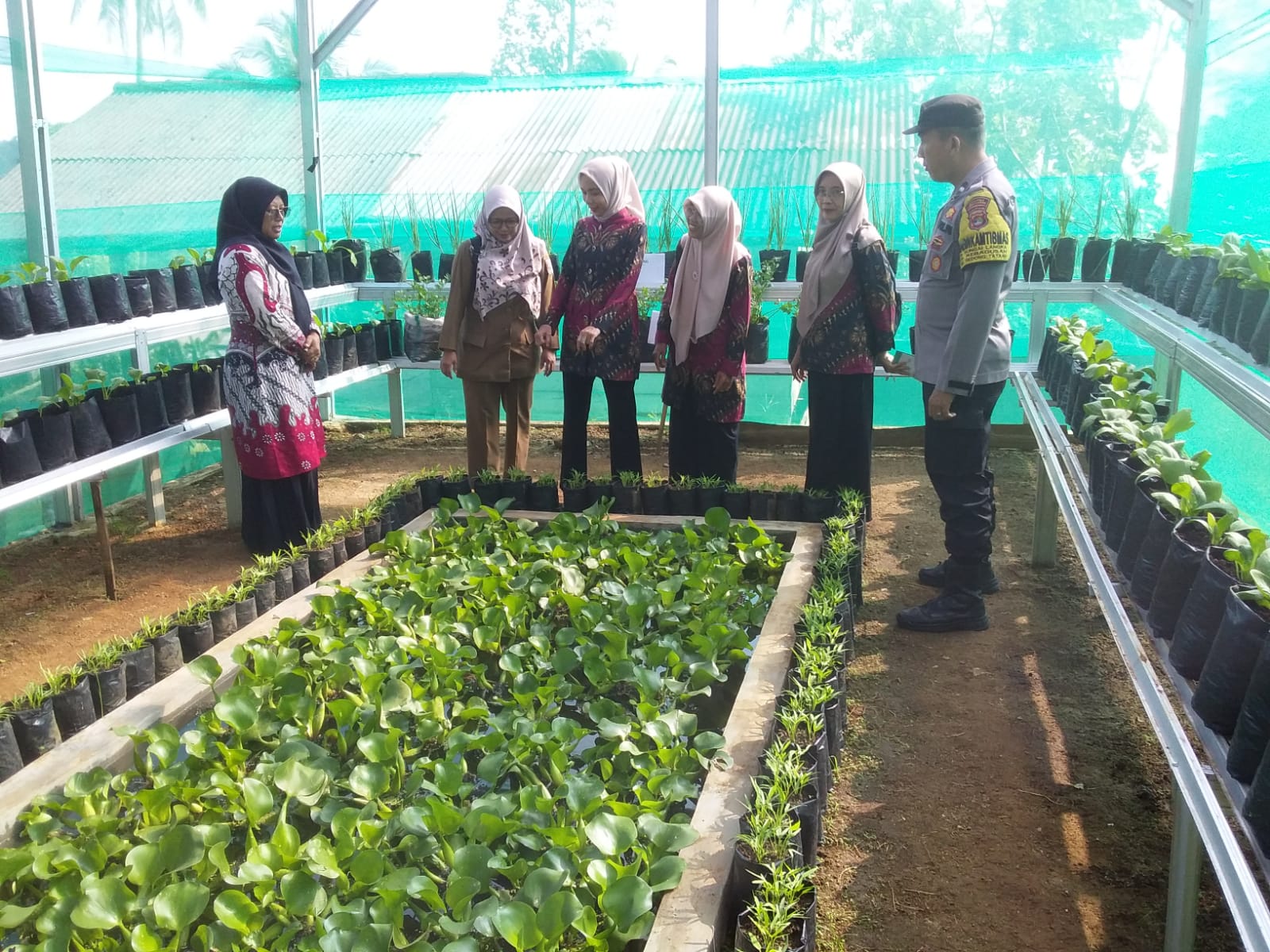 Dukung Program Ketahanan Pangan, Bhabinkamtibmas Polsek Gedong Tataan Kawal Penilaian Lomba KWT di Sungai Langka