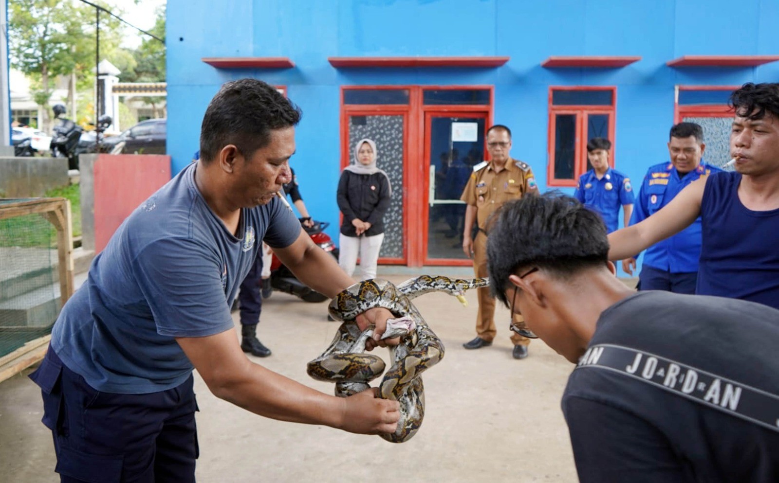 Enam Ular Sanca Dilepasliarkan di Gunung Rajabasa, Damkarmat Lampung Selatan Ajak Warga Jaga Ekosistem Alam