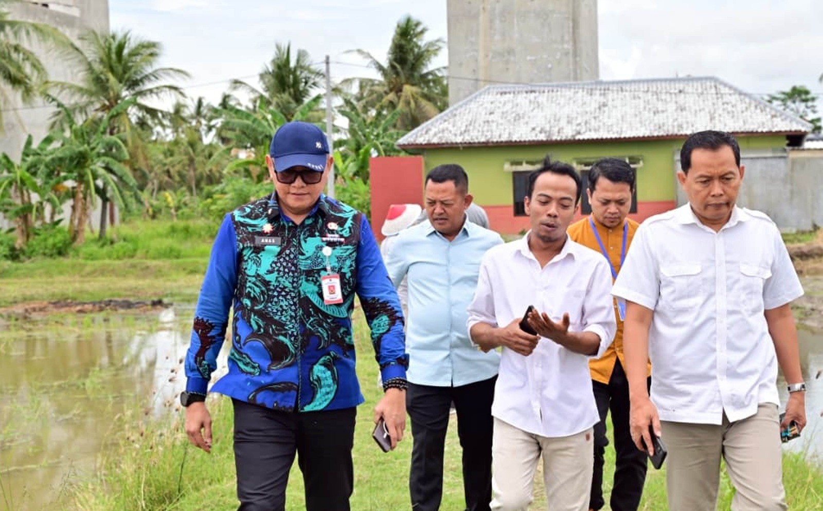 Padi Biosalin, Inovasi Cerdas Ubah Tambak Asin Jadi Sawah Produktif di Lampung Selatan