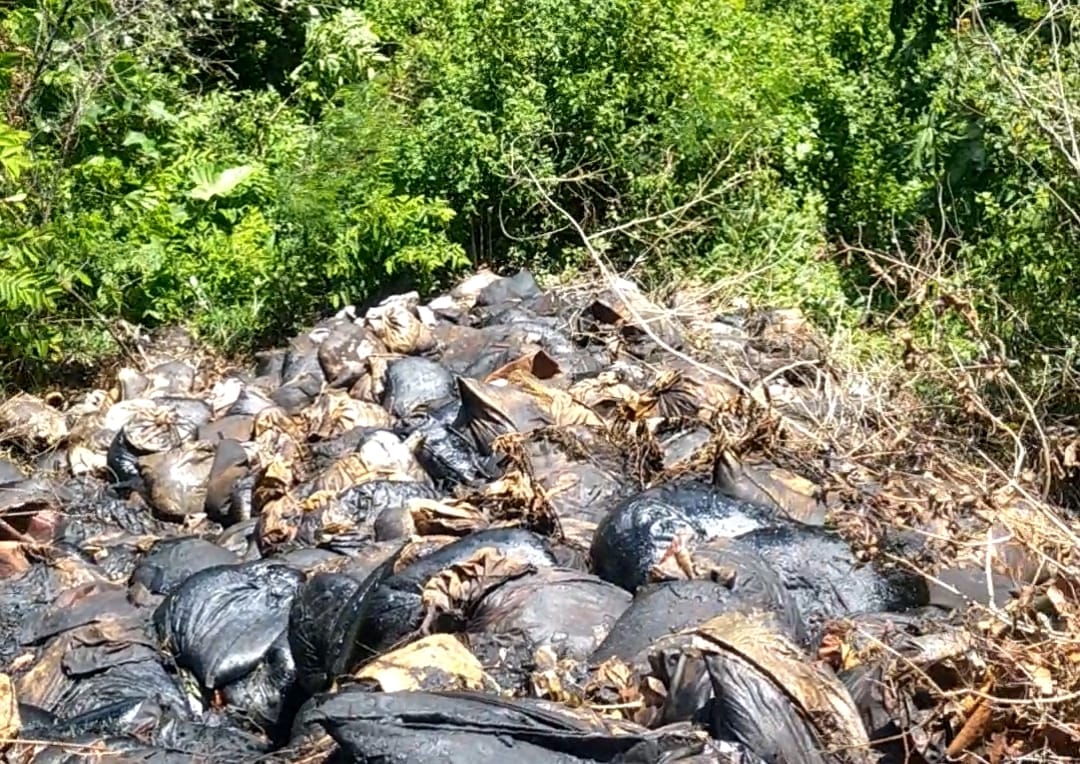 Awas, Ada Limbah Kimia Berbahaya Dibuang Di Puncak Pantai Ringgung