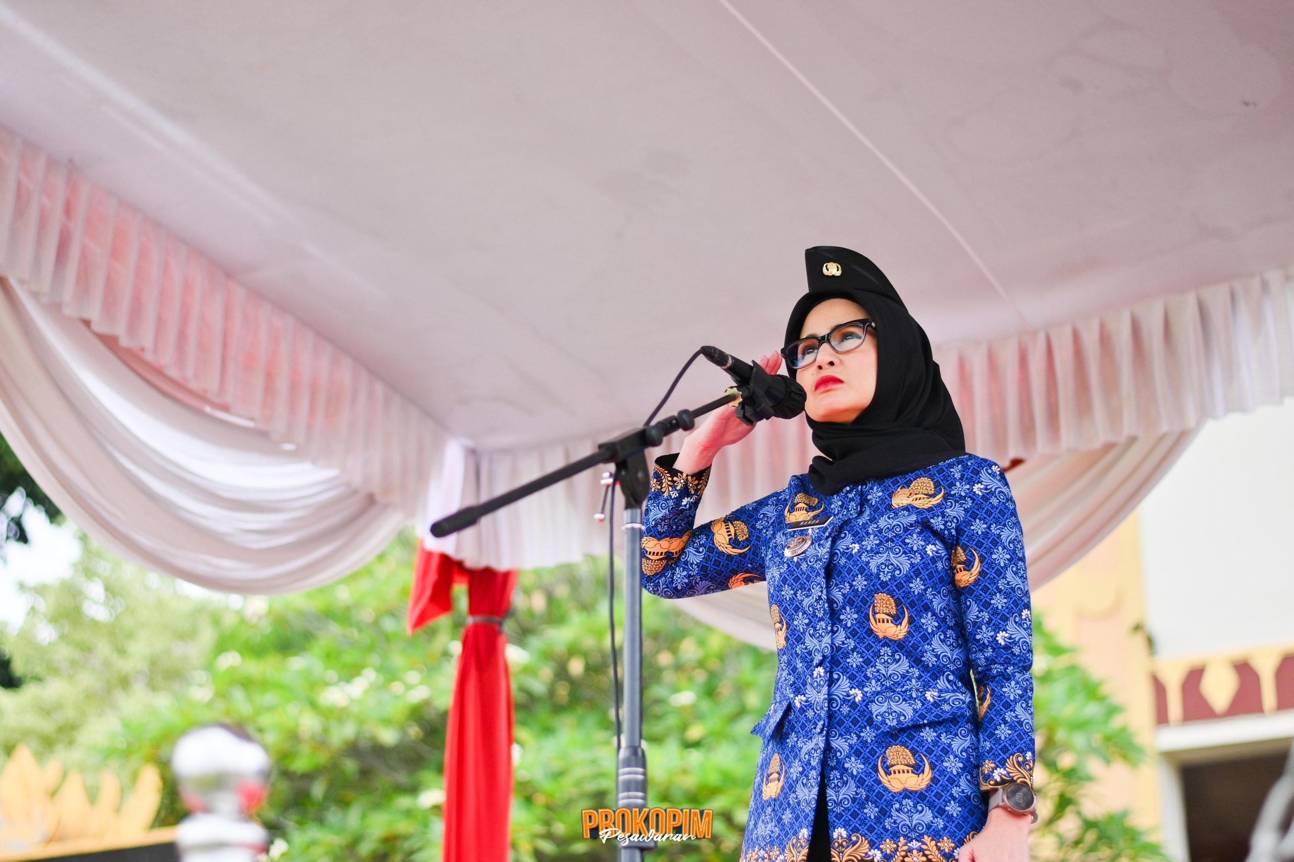 Hari Pahlawan 2025: Bupati Pesawaran Ajak Teladani Nilai Perjuangan dan Pengabdian Pahlawan Bangsa