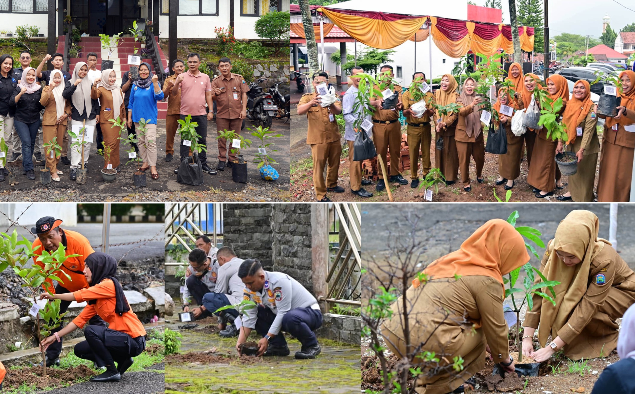 5.792 PPPK Paruh Waktu Lampung Selatan Tanam Pohon Serentak, Kampanye “Pohon Asuh” Gaungkan Gerakan Hijau dari Birokrasi