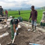 Hari Ketiga TMMD ke-127: TNI dan Masyarakat Gotong Royong Bangun Jalan dan Talud