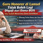 Sudah Terima Sertifikasi, Guru Honorer Tak Boleh Lagi Digaji dari Dana BOS: Simak Penjelasannya