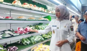 Jaga Stabilitas Harga dan Kualitas Pangan, Pemprov Lampung Intensifkan Pengawasan Pasar