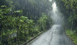 BMKG prakirakan, puncak musim hujan di Lampung Jatuh di Bulan Pebuari 2026