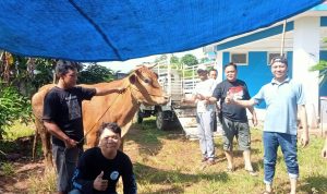 Ismail SH  : Potong Sapi dan Parsel Untuk Anggota PWI, Sudah Menjadi Tradisi Kami