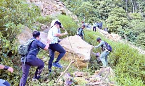 Longsor Gunung Rajabasa: Bupati Egi Naik 3 Km, Tanam Pohon Cegah Bencana Susulan