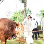Idul Adha 1447 H, Bupati Pesawaran Serukan Semangat Pengorbanan dan Kepedulian Sosial