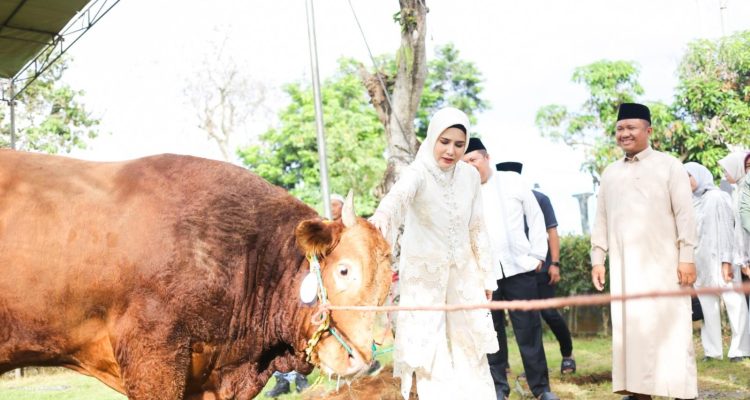 Idul Adha 1447 H, Bupati Pesawaran Serukan Semangat Pengorbanan dan Kepedulian Sosial Idul Adha 1447 H, Bupati Pesawaran Serukan Semangat Pengorbanan dan Kepedulian Sosial