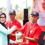 Dukung Penguatan Ketahanan Pangan, GNTI Gelar Panen Raya Jagung di Pesawaran