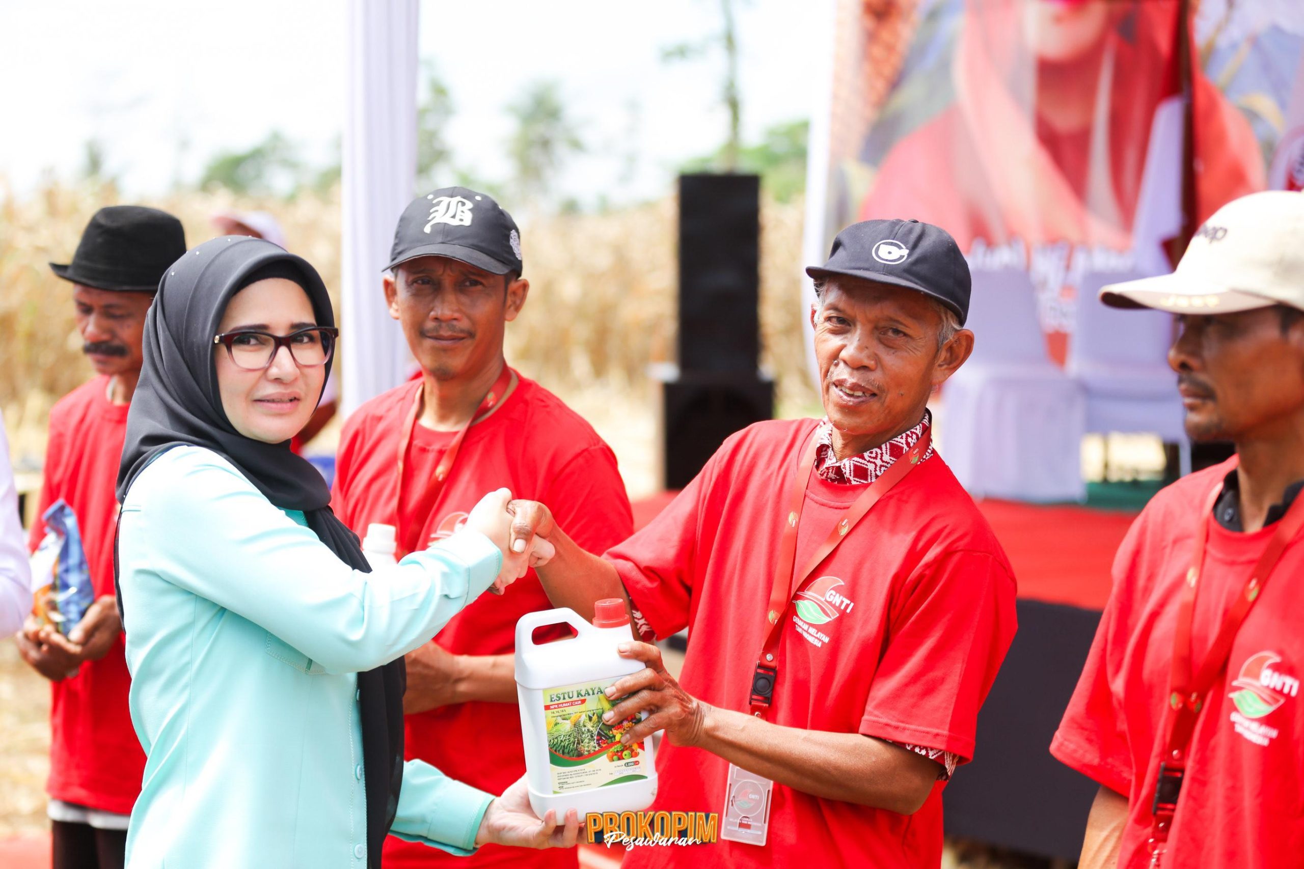 Dukung Penguatan Ketahanan Pangan, GNTI Gelar Panen Raya Jagung di Pesawaran