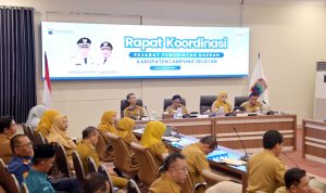 Pemkab Lampung Selatan Matangkan Halo Lamsel, Perkuat Layanan Publik Digital yang Cepat, Responsif, dan Transparan