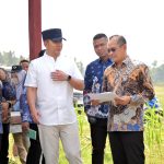 Sinergi Pusat dan Daerah Menguat, Dirjen Kemdiktisaintek Tinjau Calon Lokasi SMA Unggul Garuda di Lampung Selatan