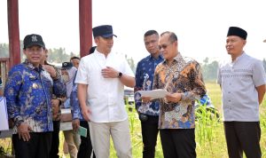 Sinergi Pusat dan Daerah Menguat, Dirjen Kemdiktisaintek Tinjau Calon Lokasi SMA Unggul Garuda di Lampung Selatan