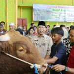 Pemprov Lampung Salurkan 136 Hewan Qurban di Hari Raya Idhul Adha 1447 H