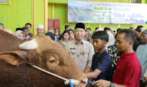 Pemprov Lampung Salurkan 136 Hewan Qurban di Hari Raya Idhul Adha 1447 H Pemprov Lampung Salurkan 136 Hewan Qurban di Hari Raya Idhul Adha 1447 H