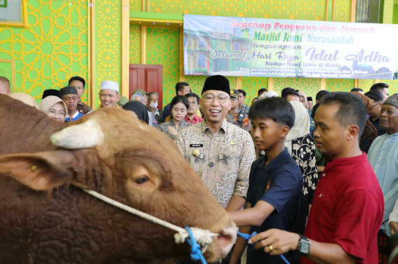Pemprov Lampung Salurkan 136 Hewan Qurban di Hari Raya Idhul Adha 1447 H
