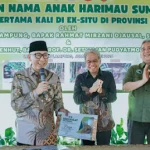 Gubernur Lampung Rahmat Mirzani Djausal Gubernur Mirza Perkenalkan Dua Anak Harimau Sumatera